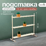 Кедр-мини на ножках 